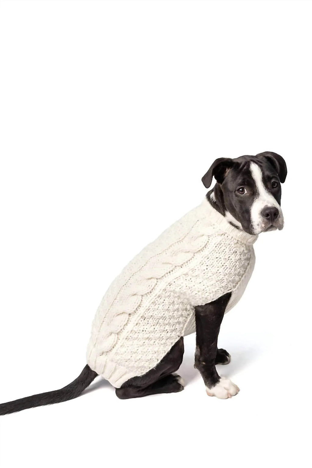 Cable Knit Dog Sweater
